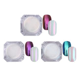 1g Mirror Glitter Nail Chrome Pigment Shell Dazzling